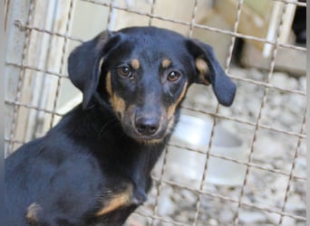 Kuckuck ich bin die niedliche SMILLA2025