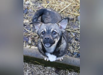Verspielt, neugierig und zuckersüß - das bin ich, Prinzesschen CHIQUITA