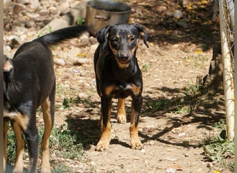 Kuckuck ich bin die niedliche SMILLA2025