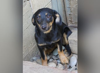 Kuckuck ich bin die niedliche SMILLA2025