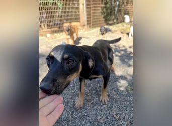 Kuckuck ich bin die niedliche SMILLA2025