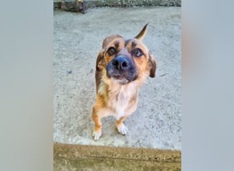 Wirbelwind MILLIE will dein Leben auf den Kopf stellen