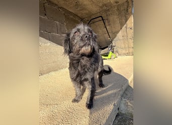 RAMONA ihr fehlt nur eines ihre eigene Familie