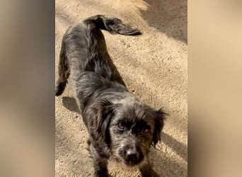 RAMONA ihr fehlt nur eines ihre eigene Familie