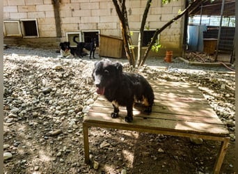 RALF er trägt die Sonne im Herzen !