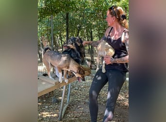 Neugierig und verspielt - Zaubermaus CAROLINA möchte dich um den Finger wickeln