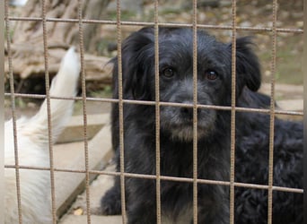 RAMONA ihr fehlt nur eines ihre eigene Familie