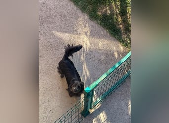 RAMONA wünscht sich ein sicheres Zuhause, indem sie endlich ankommen kann