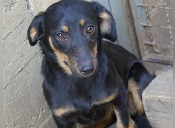 Kuckuck ich bin die niedliche SMILLA2025