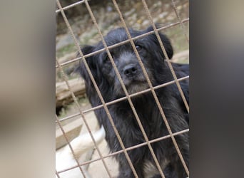 RAMONA ihr fehlt nur eines ihre eigene Familie