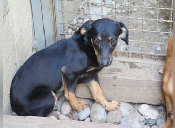 Kuckuck ich bin die niedliche SMILLA2025