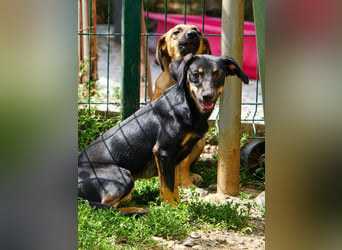 kleine SMILLA braucht ihre Herzensmenschen so sehr !