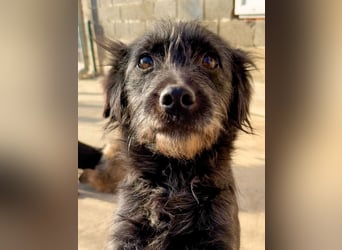 RAMONA ihr fehlt nur eines ihre eigene Familie