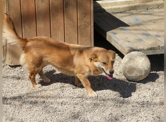 Kuschelfee SENA sucht Kuschelmenschen zum lieb haben