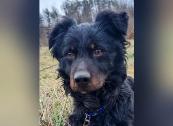 Sonnenschein RALF hofft auf sein Familienglück