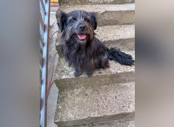 RAMONA wünscht sich ein sicheres Zuhause, indem sie endlich ankommen kann