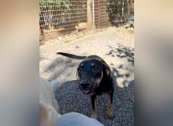 Kuckuck ich bin die niedliche SMILLA2025