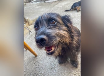 RAMONA wünscht sich ein sicheres Zuhause, indem sie endlich ankommen kann