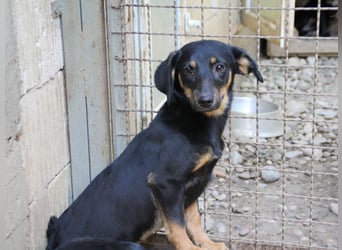 Kuckuck ich bin die niedliche SMILLA2025