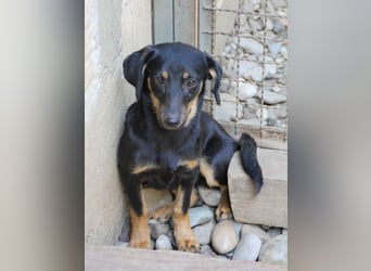 Kuckuck ich bin die niedliche SMILLA2025