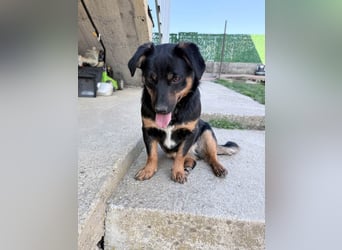 entzückende ROXANA, liebt das Leben und die Menschen !