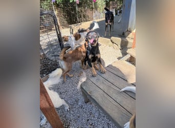 Kuckuck ich bin die niedliche SMILLA2025