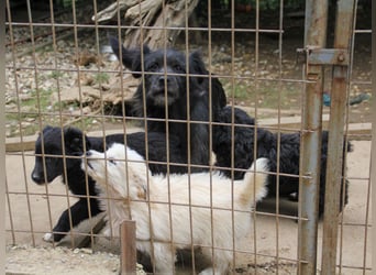 RAMONA ihr fehlt nur eines ihre eigene Familie