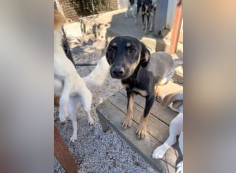 Kuckuck ich bin die niedliche SMILLA2025