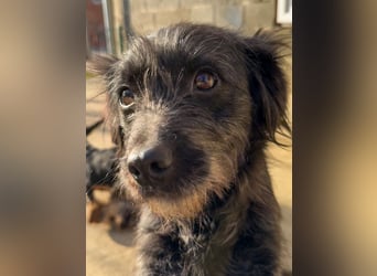 RAMONA ihr fehlt nur eines ihre eigene Familie