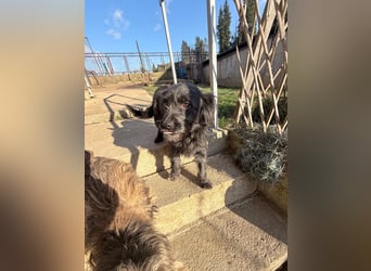 RAMONA ihr fehlt nur eines ihre eigene Familie