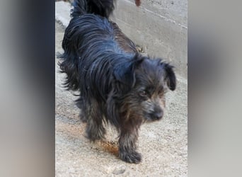 RAMONA wünscht sich ein sicheres Zuhause, indem sie endlich ankommen kann