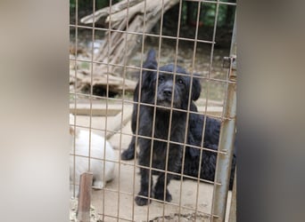 RAMONA ihr fehlt nur eines ihre eigene Familie