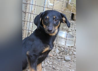 Kuckuck ich bin die niedliche SMILLA2025