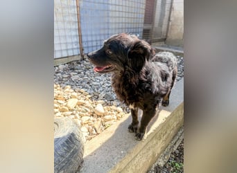 RALF er trägt die Sonne im Herzen !