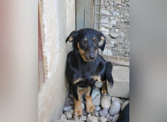 Kuckuck ich bin die niedliche SMILLA2025