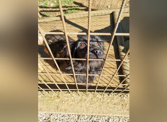 RAMONA ihr fehlt nur eines ihre eigene Familie