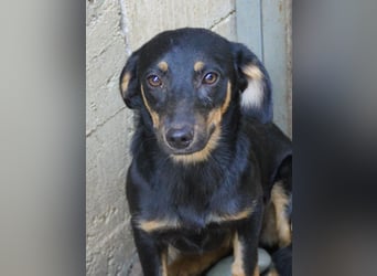 Kuckuck ich bin die niedliche SMILLA2025