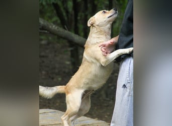 Kleine INESSA sucht das große Abenteuer außerhalb des Tierheims