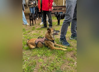 wundervolle NISHA wartet bereits in 91052 Erlangen auf ihre Herzensmenschen