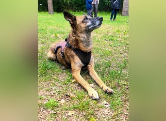 wundervolle NISHA wartet bereits in 91052 Erlangen auf ihre Herzensmenschen