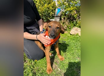 BODO – kleiner Entdecker mit großem Herz