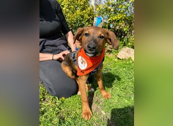 BODO – kleiner Entdecker mit großem Herz