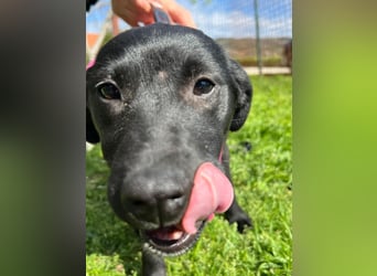 SHILA – neugierige kleine Entdeckerin