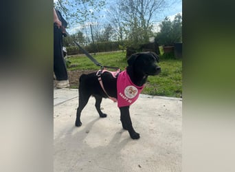 SHILA – neugierige kleine Entdeckerin