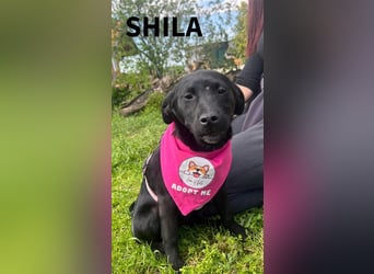 SHILA – neugierige kleine Entdeckerin