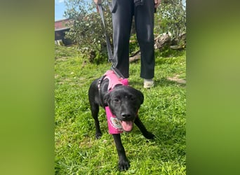 SHILA – neugierige kleine Entdeckerin