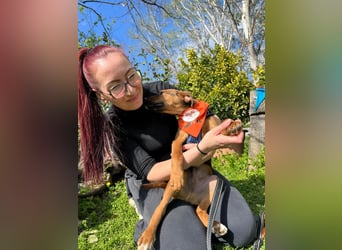 BODO – kleiner Entdecker mit großem Herz