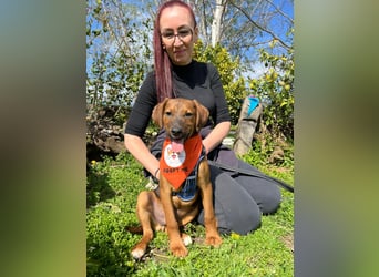 BODO – kleiner Entdecker mit großem Herz