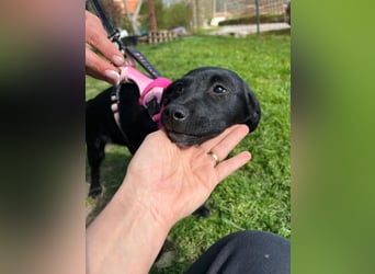 SHILA – neugierige kleine Entdeckerin