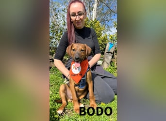 BODO – kleiner Entdecker mit großem Herz